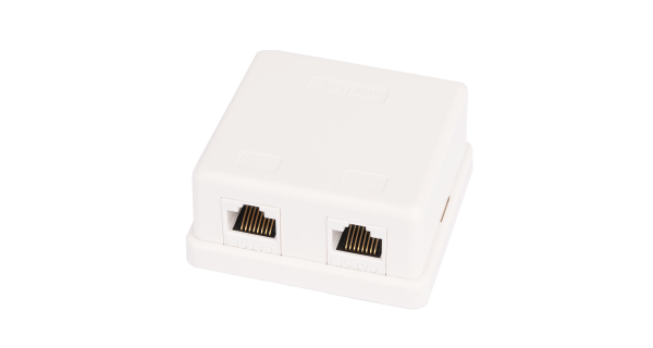 Настенная розетка NETLAN, 2 порта, Кат.5e (Класс D), 100МГц, RJ45/8P8C, 110, T568A/B, неэкранированная, белая, уп-ка 10шт.